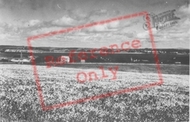 General View c.1965, Caldey Island
