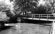 Calne, Doctors Pond c1965