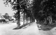 Calne, Wessington Avenue c1960