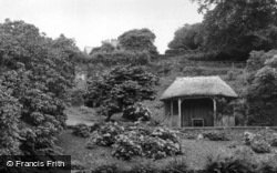 Cotehele Gardens c.1965, Calstock