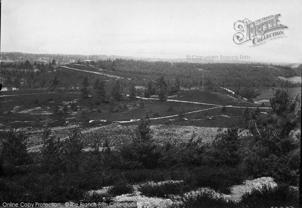 Photo of Camberley, Barossa 1919