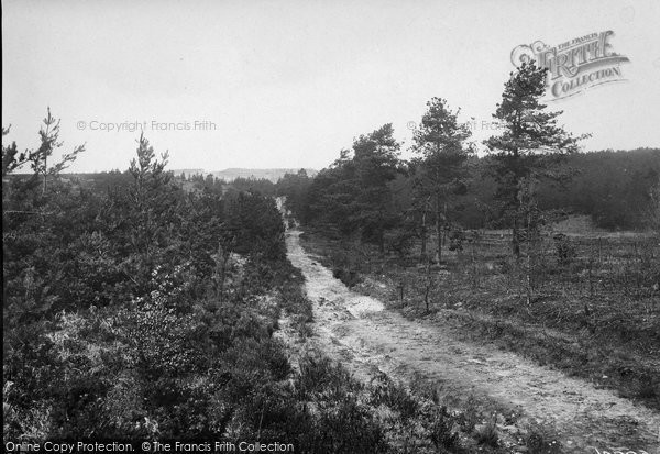 Photo of Camberley, Barossa 1919