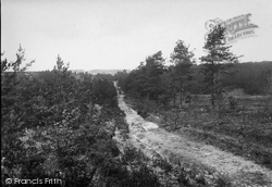 Barossa 1919, Camberley