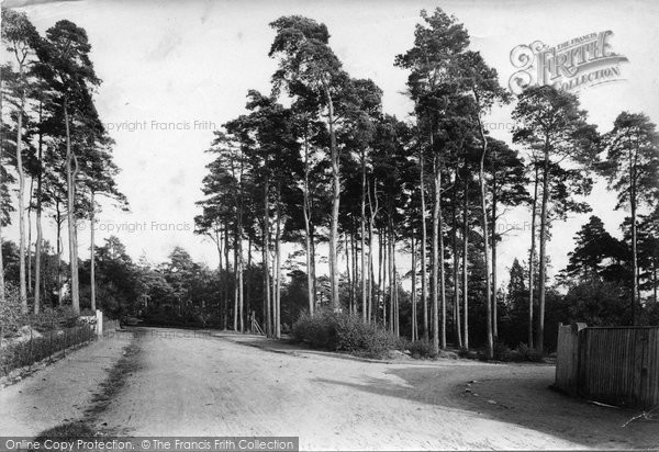 Photo of Camberley, Brackendale 1908