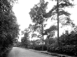 Tekels Avenue 1931, Camberley