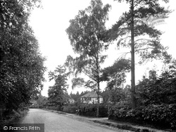 Tekels Avenue 1931, Camberley