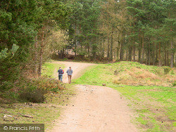 Woodland Track In Swinley Forest 2004, Camberley