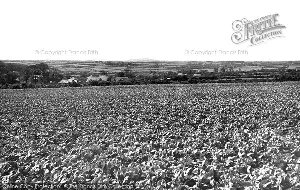 Photo of Camborne, View From Pendarves Road c.1950