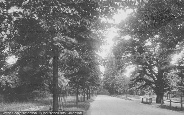 Photo of Cambridge, The Backs 1925