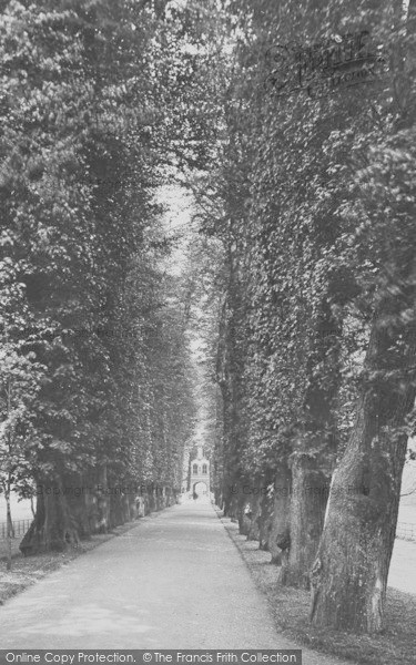 Photo of Cambridge, Trinity College Avenue 1890