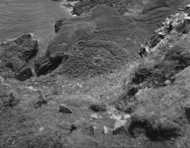 Ringfort Remains 1957, Canna