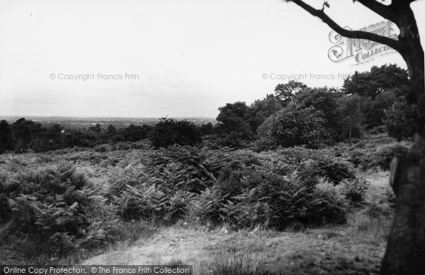 Photo of Cannock, Shoal Hill c.1955