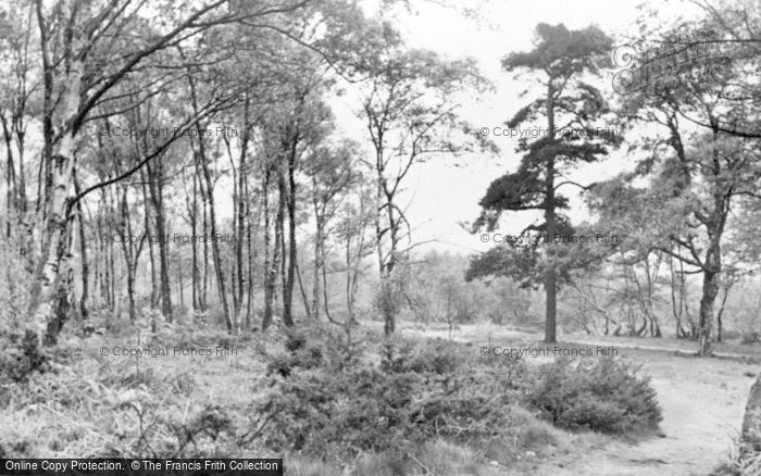 Photo of Cannock, Shoal Hill c.1955