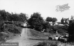 Cannock, Shoal Hill c1960