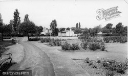 The Park, Rose Garden c.1965, Cannock