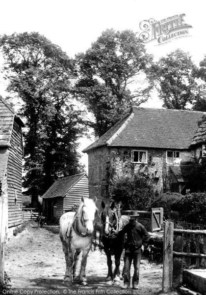 Photo of Capel, Aldhurst Farm 1906