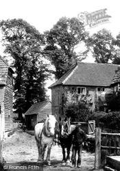 Aldhurst Farm 1906, Capel