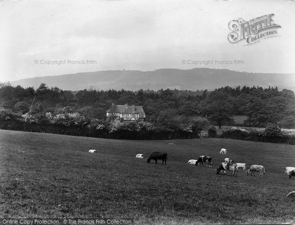 Photo of Capel, Leith Hill From Wolves Hill 1928
