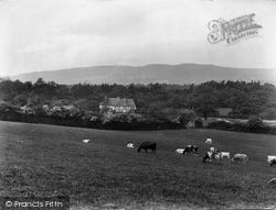 Leith Hill From Wolves Hill 1928, Capel