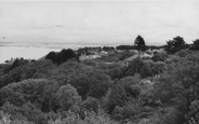 The Valley c.1955, Carbis Bay
