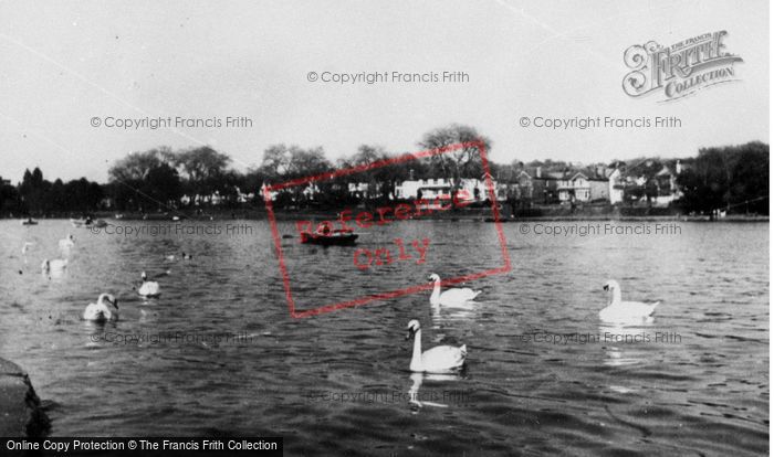 Photo of Cardiff, Roath Park c.1955