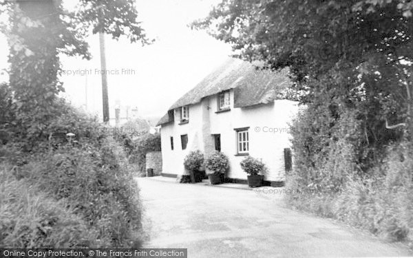Photo of Carhampton, Thatch Cottages c.1955