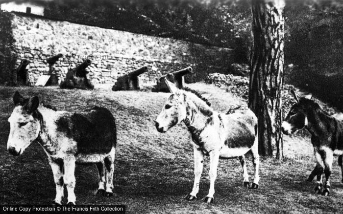 Photo of Carisbrooke, Castle, The Donkeys c.1930