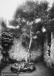Castle, The Old Well 1890, Carisbrooke