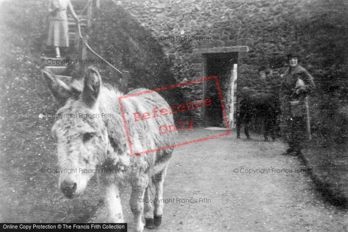 Photo of Carisbrooke, Donkey At The Castle c.1950
