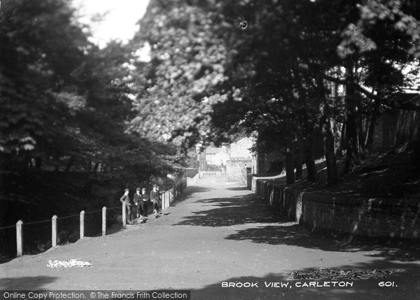 Photo of Carleton, Brook View c.1900