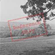 General View 1949, Carmarthen