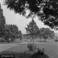 The Park 1949, Carmarthen
