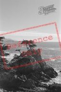 17 Mile Drive 2002, Carmel-By-The-Sea