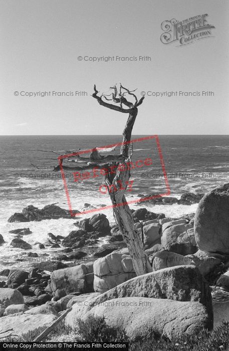 Photo of Carmel By The Sea, 17 Mile Drive 2002