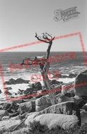 17 Mile Drive 2002, Carmel-By-The-Sea