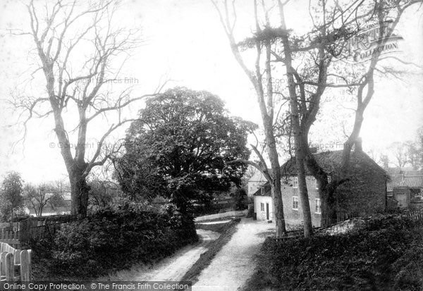 Photo of Carnaby, Lane Scene c.1885