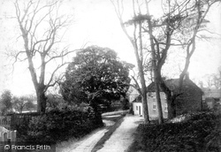 Lane Scene c.1885, Carnaby