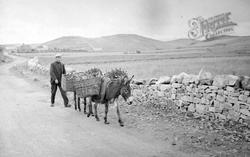 Donkey Carrying Peat In Baskets 1937, Carrigart