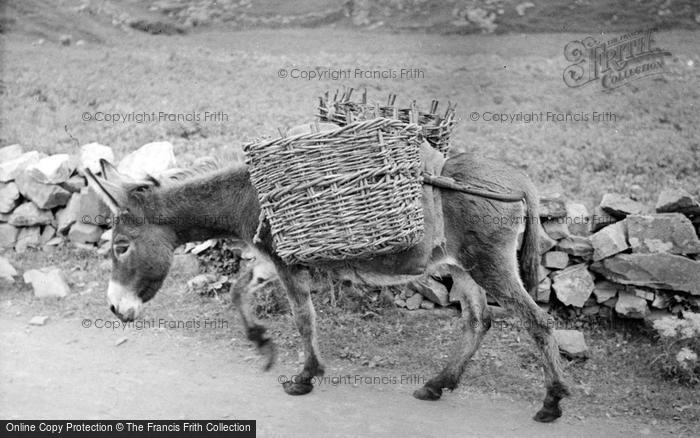 Photo of Carrigart, Donkey With Baskets c.1937