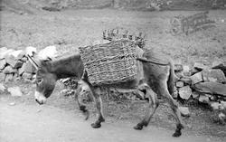 Donkey With Baskets c.1937, Carrigart