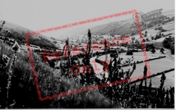 The Valley c.1960, Carrog