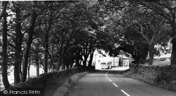 The Village c.1955, Carrshield