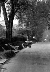 A Milk Cart In Beeches Avenue 1928, Carshalton