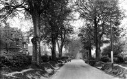 Carshalton, Beeches Avenue 1928