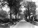 Beeches Avenue 1928, Carshalton
