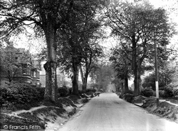 Beeches Avenue 1928, Carshalton