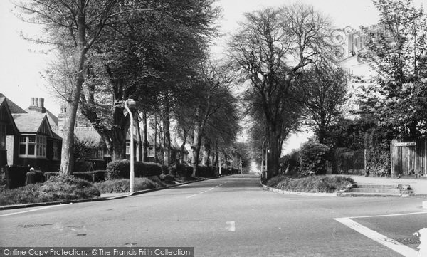 Photo of Carshalton, Beeches, Beeches Avenue c.1960