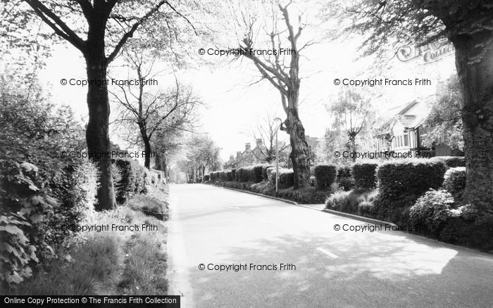 Photo of Carshalton, Beeches, Beeches Avenue c.1960