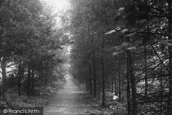 Beeches, Pine Walk c.1935, Carshalton