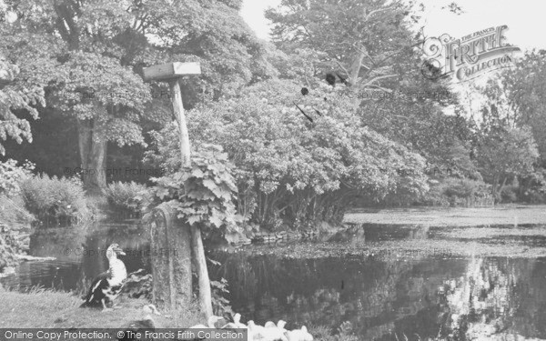 Photo of Cartmel, Ducks, Aynsome Guest House c.1955